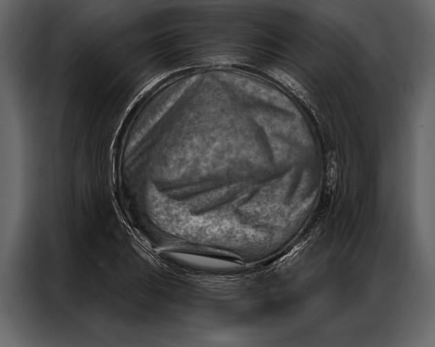 X0000087001031200705071502