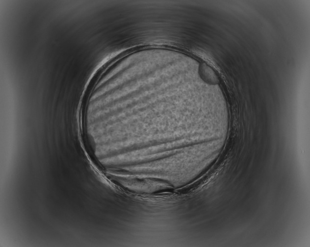 X0000087001032200705071502