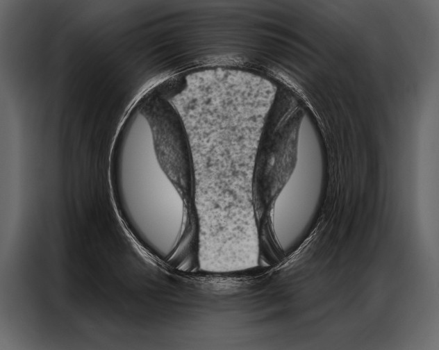 X0000087001034200705071502