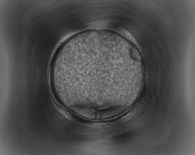 X0000087001035200705071502