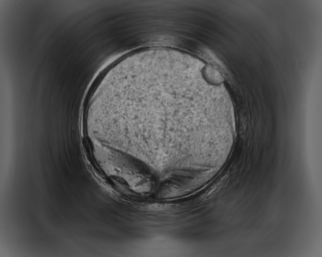 X0000087001036200705071502