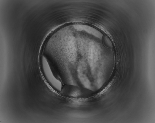 X0000087001037200705071502