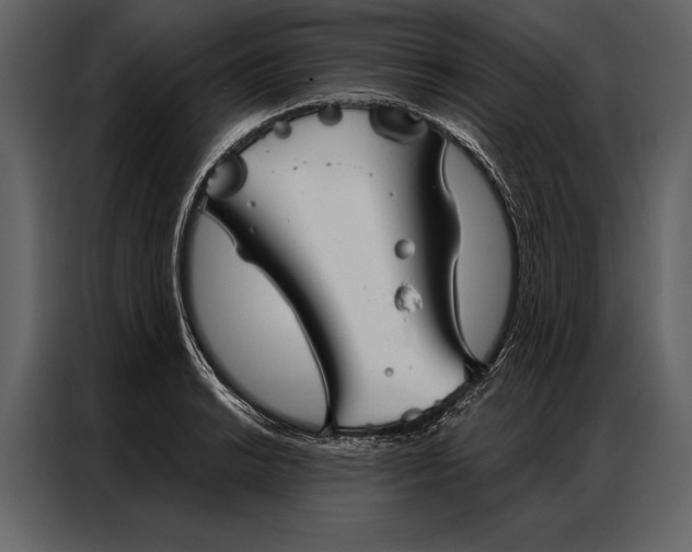 X0000087001038200705071502