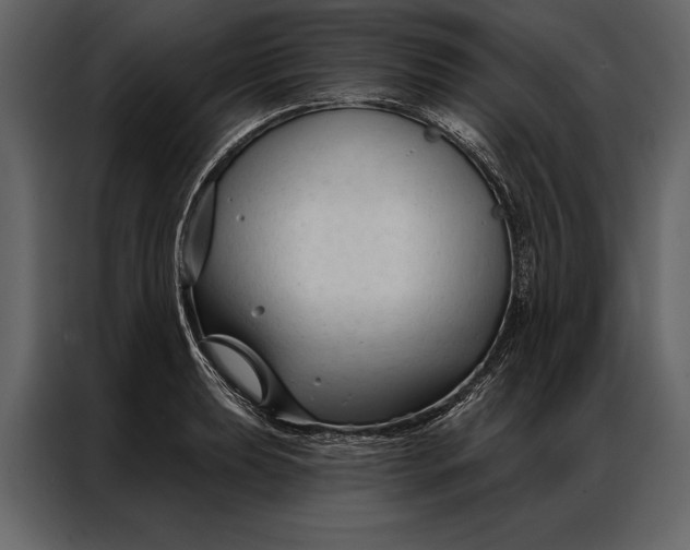 X0000087001039200705071502