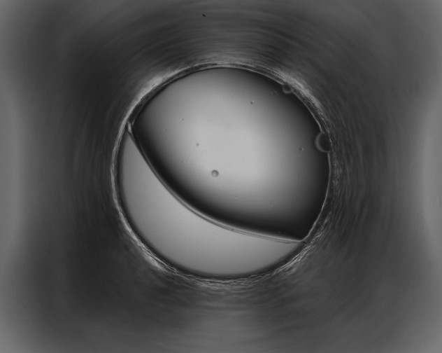 X0000087001040200705071502