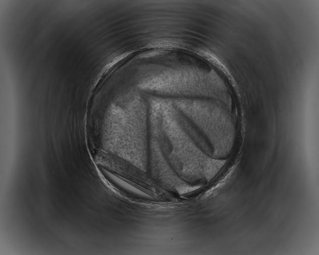 X0000087001041200705071502