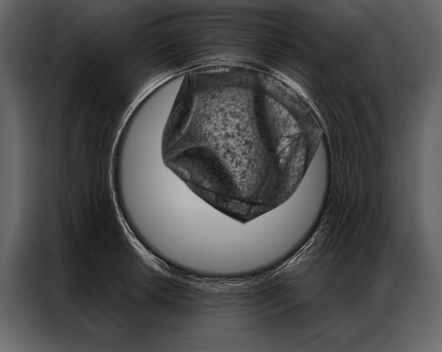 X0000087001042200705071502