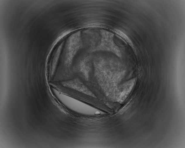 X0000087001043200705071502