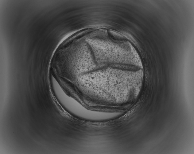 X0000087001044200705071502