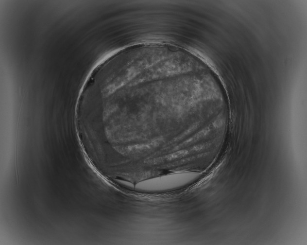 X0000087001045200705071502