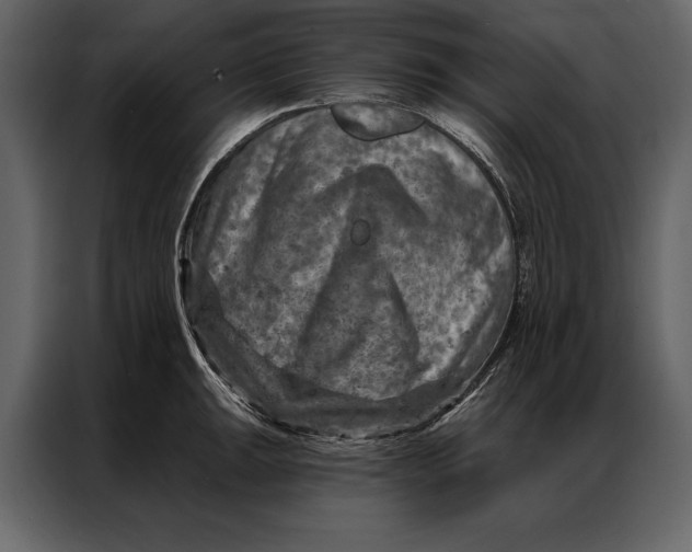 X0000087001047200705071502