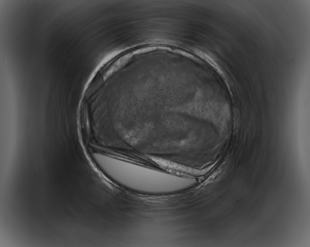 X0000087001048200705071502