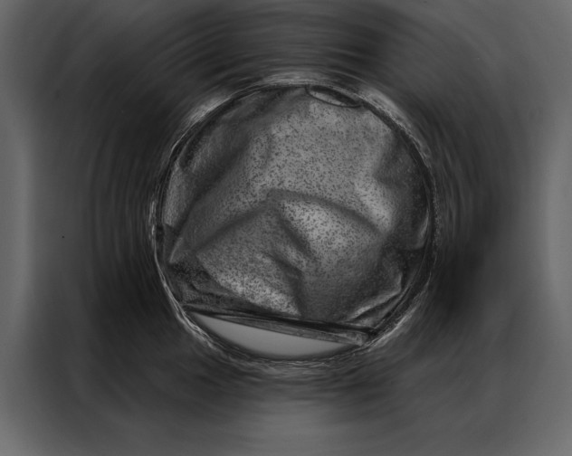 X0000087001049200705071502