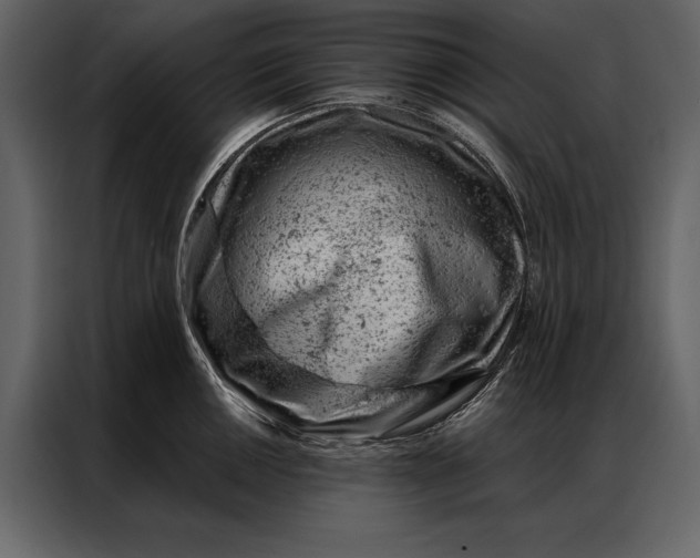 X0000087001050200705071502