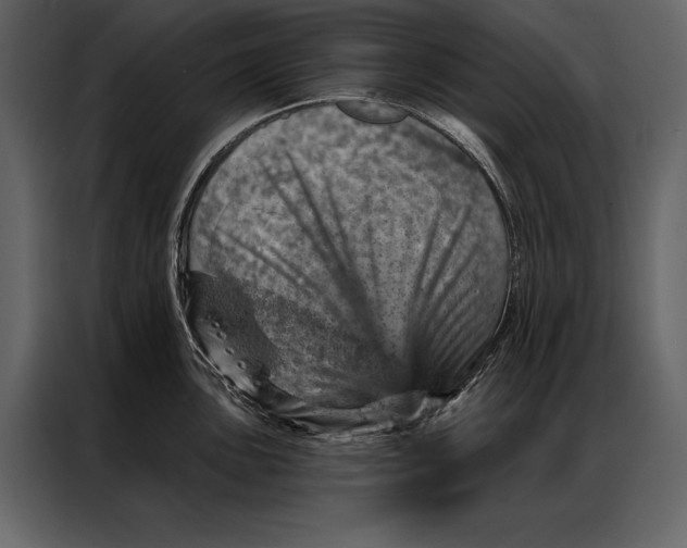 X0000087001051200705071502