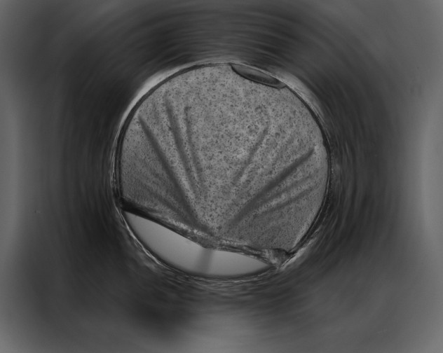 X0000087001052200705071502