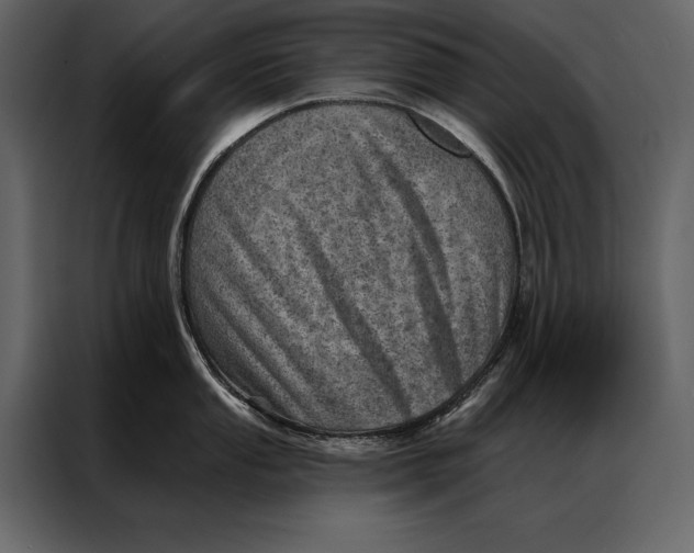 X0000087001053200705071502