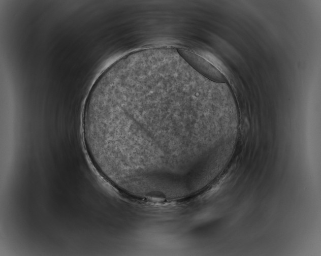 X0000087001055200705071502