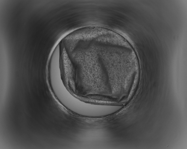 X0000087001056200705071502