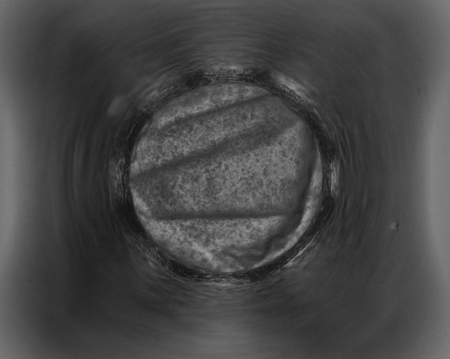 X0000087001059200705071501