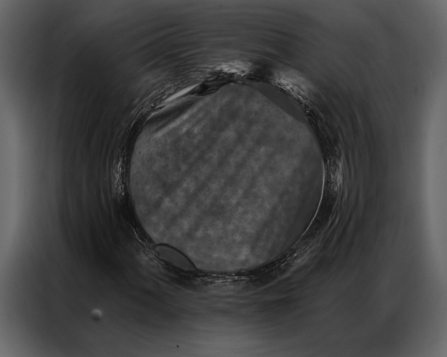 X0000087001060200705071501