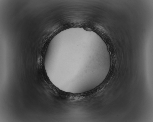 X0000087001061200705071501