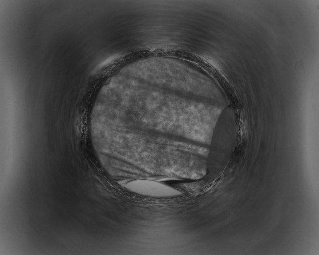 X0000087001063200705071501