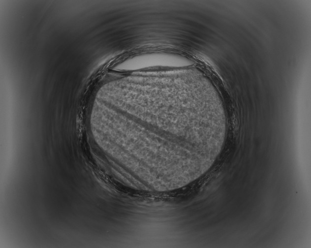 X0000087001064200705071501