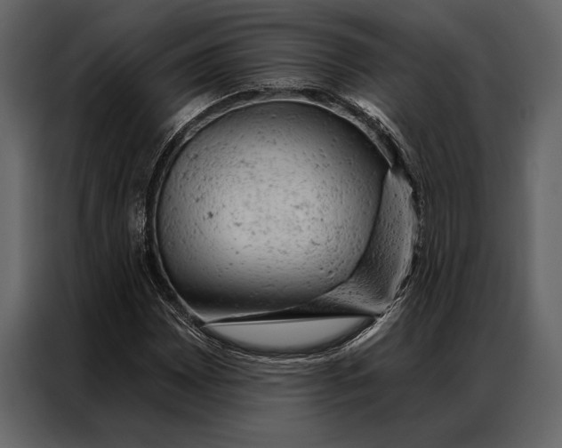 X0000087001065200705071501