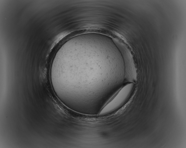 X0000087001066200705071501