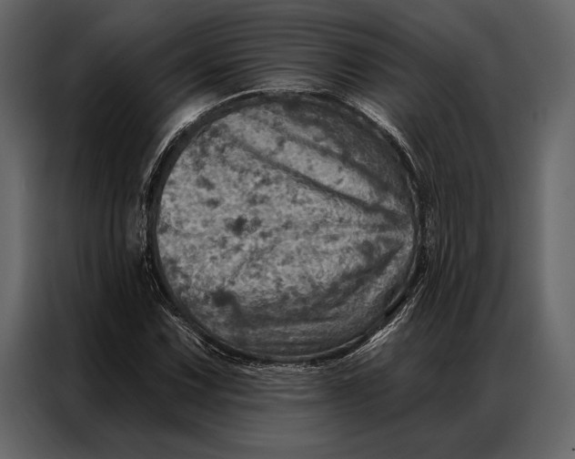 X0000087001067200705071501