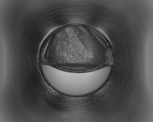 X0000087001068200705071501