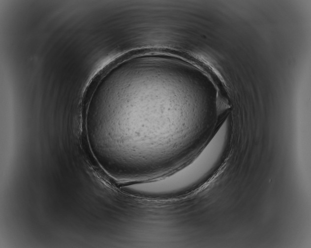 X0000087001069200705071501