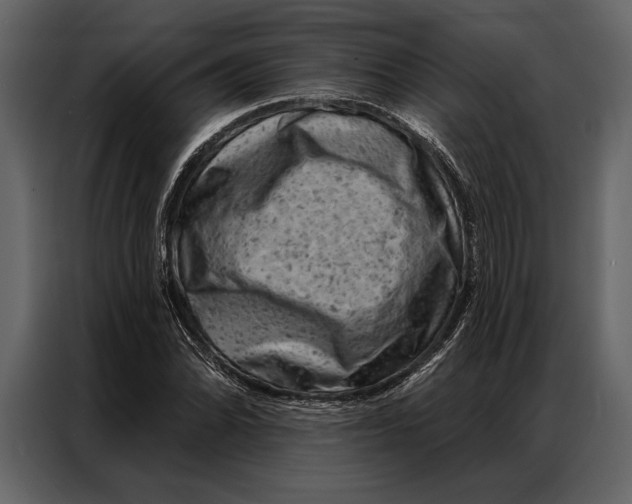 X0000087001070200705071501