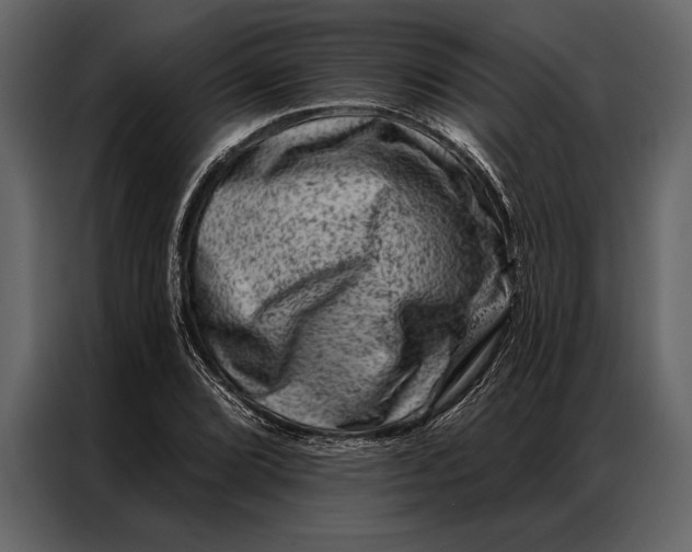 X0000087001072200705071501