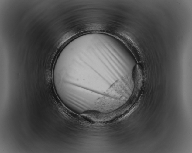 X0000087001073200705071501