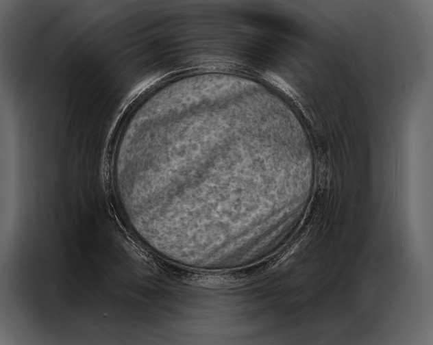 X0000087001074200705071501