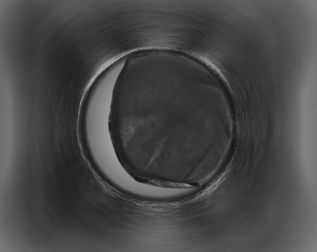 X0000087001077200705071501