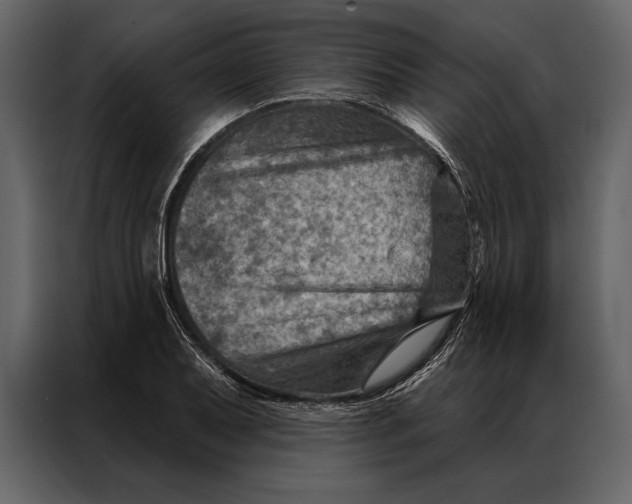 X0000087001079200705071501