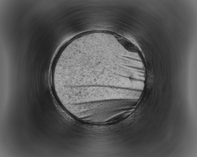 X0000087001080200705071501