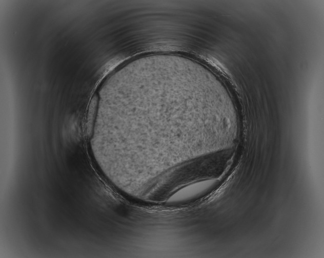 X0000087001081200705071501