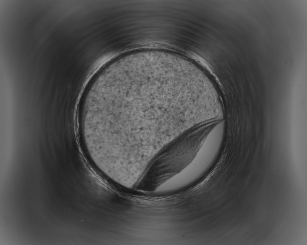 X0000087001082200705071501