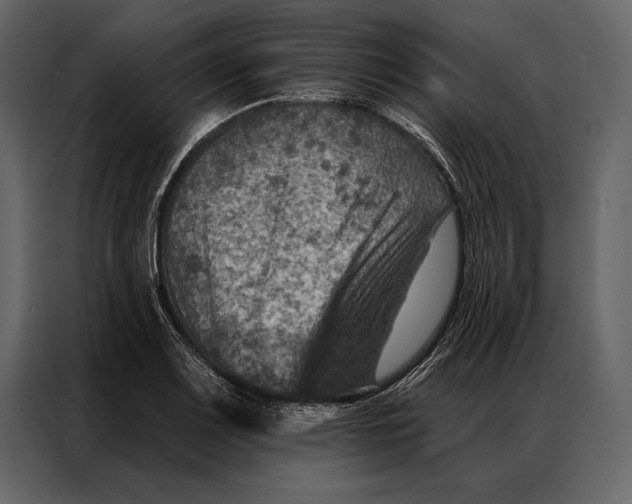 X0000087001083200705071501