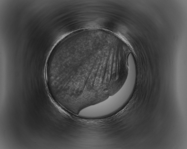 X0000087001084200705071501