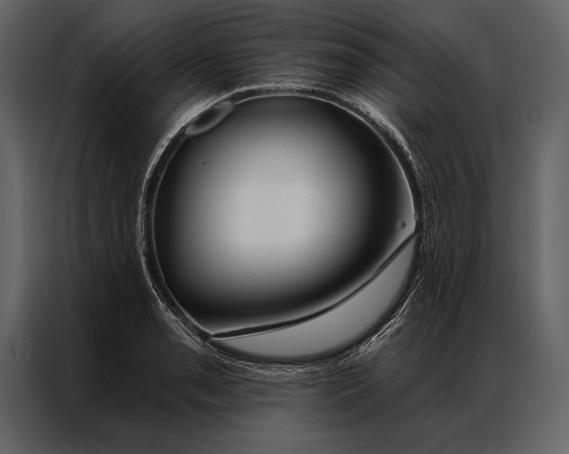 X0000087001085200705071501