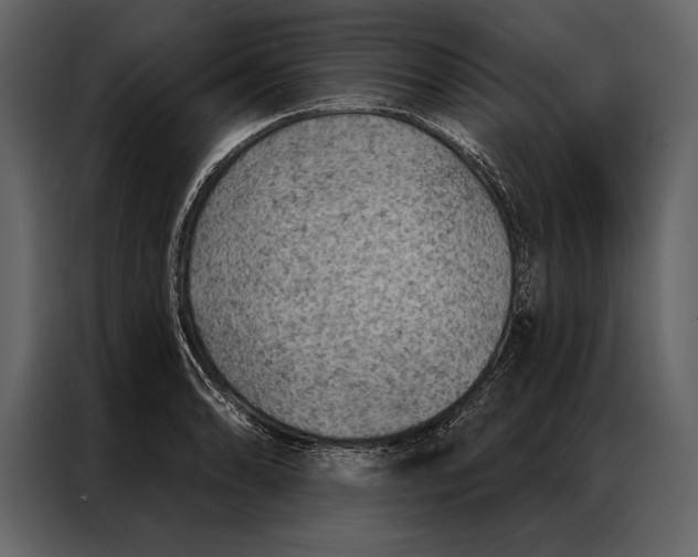 X0000087001086200705071501