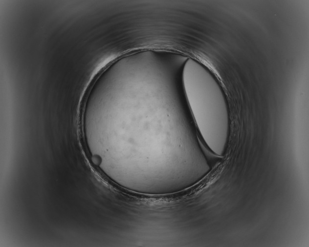 X0000087001087200705071501