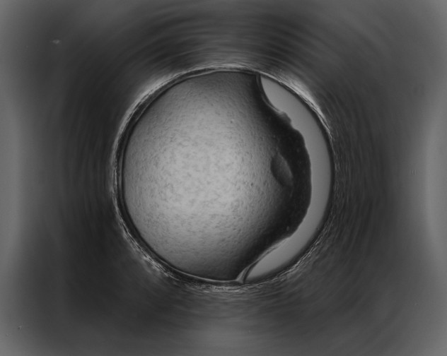 X0000087001088200705071501