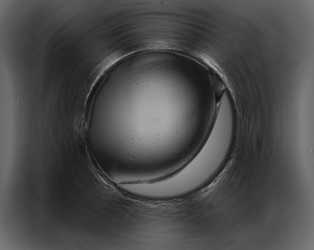 X0000087001089200705071501