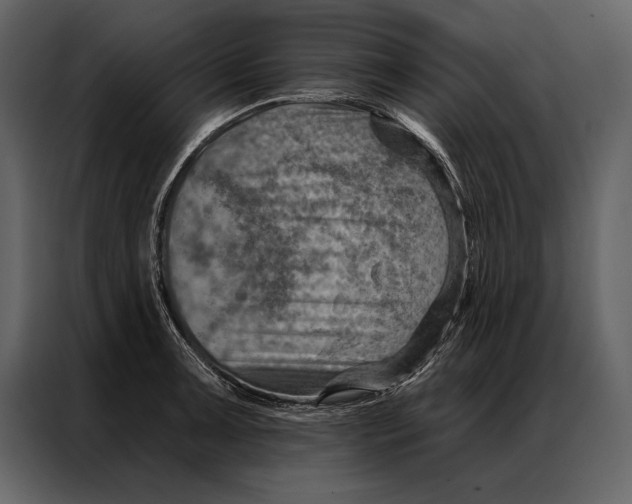 X0000087001091200705071501